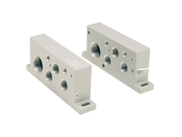 Isys ISO H1 Series End Plate Kits - BSPP